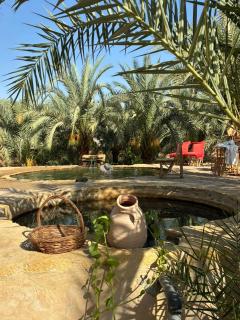 Monica Camp Siwa مونيكا كامب سيوة - Siwa - 0