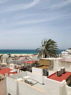 Castilnovo Apartment Conil Center - Conil de la Frontera - 5