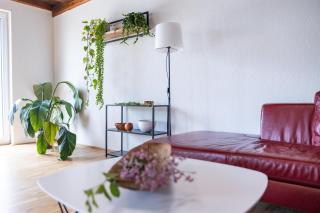 KARL's Home Privatzimmer - Eferding - 6