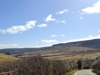 Birch Cottage- 15841 - Catcleugh - 1