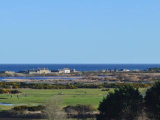 March Brown - Garmouth - 1