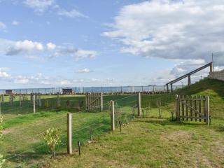 Seascape - Sandown - 8