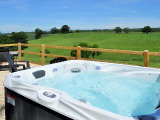Shepherds Hut Retreat - Shootend - 9