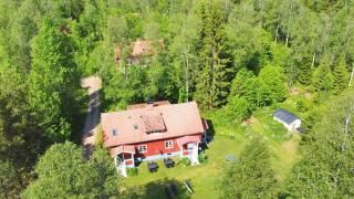 Skogstjärna - Filipstad - 0