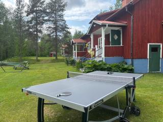 Skogstjärna - Filipstad - 9