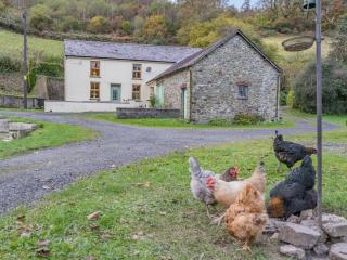 Pwll Farmhouse - Llanllawdog - 2