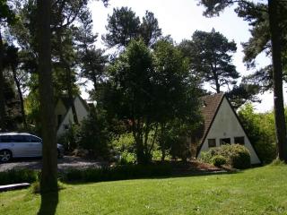 Ledi - Cottage - Linlithgow - 4