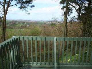 Ledi - Cottage - Linlithgow - 3