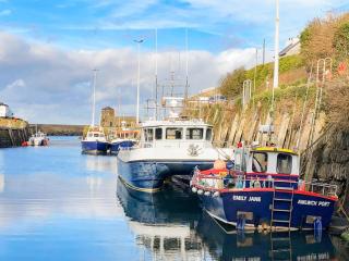 The Barnsdale - Amlwch - 0