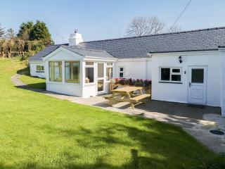 Bryn Eithin - Cottage - Moel-tryfan - 0