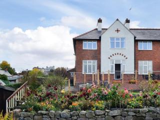 Zonnebloem - Cefn-y-bedd - 0