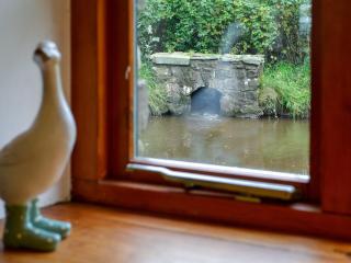 Mallard - Llangennith - 5