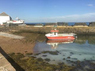 Harbour View - Johnshaven - 2