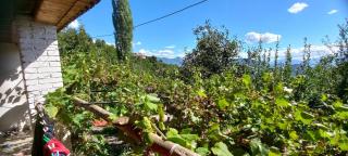 Berdufi GuestHouse - - 6
