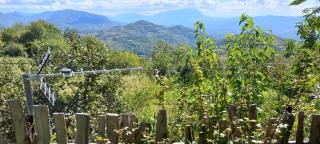 Berdufi GuestHouse - - 5