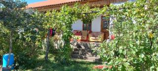 Berdufi GuestHouse - - 4