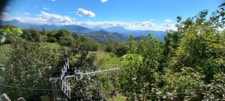 Berdufi GuestHouse - - 1