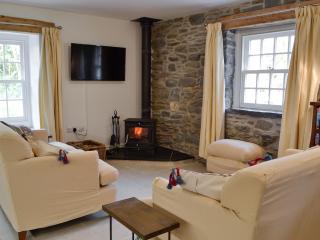 The Mill - Tregaron - 7