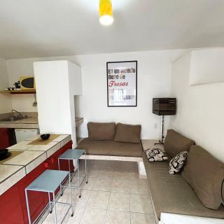 INMOTEGA - Suites TG - San Luis Potosí - 8