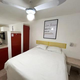 INMOTEGA - Suites TG - San Luis Potosí - 7