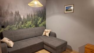 Apartament Zakopane Kamieniec 10i - Zakopane - 3