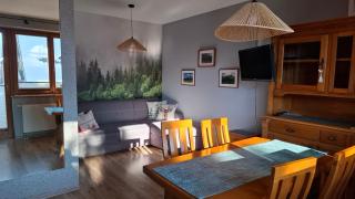 Apartament Zakopane Kamieniec 10i - Zakopane - 0
