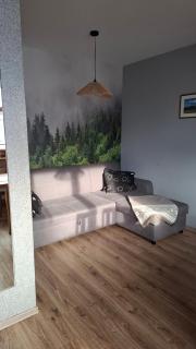 Apartament Zakopane Kamieniec 10i - Zakopane - 2