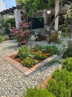 Apartments Come&Stay - Punat - 7