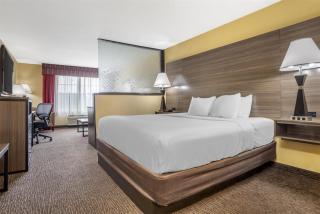Best Western Plus Bessemer - Bessemer - 7
