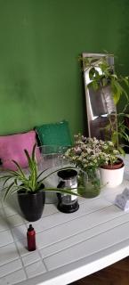 33youth hostel - Belgrade - 7
