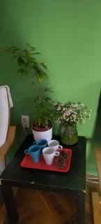 33youth hostel - Belgrade - 1