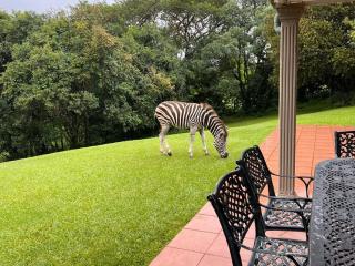 Berg Escape Kiepersol - Spacious Luxury Family Home - Winterton - 5