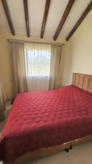 Cabaña Santa Alicia - 4