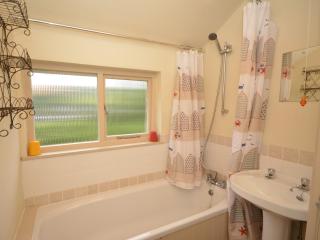 2 Bed in South Allington FERN2 - South Pool - 1