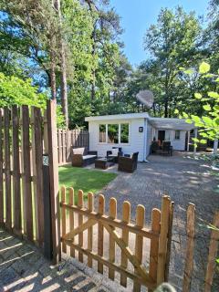 Quietly located forest chalet on family campsite - IJhorst - 8