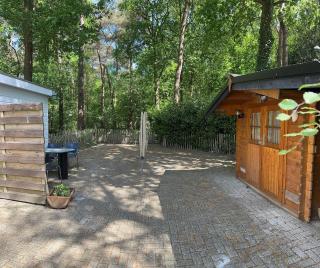 Quietly located forest chalet on family campsite - IJhorst - 6