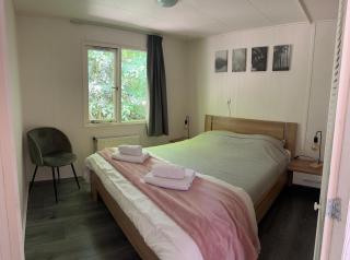 Quietly located forest chalet on family campsite - IJhorst - 4