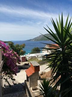 Apartman Drago Žrnovo - Korčula (Curzola) - 0