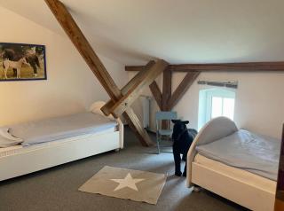Ferienbauernhof Nübbelhof Ferienwohnung Zum Kuhstall - Kappeln - 8