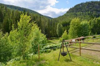 Nature cottage on wooded valley - Lii - 5