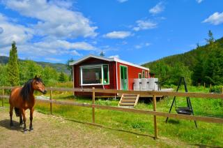 Nature cottage on wooded valley - Lii - 8