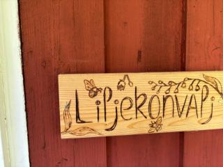 Liljekonvalj - Filipstad - 4