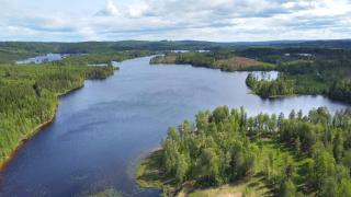 Viol - Filipstad - 7