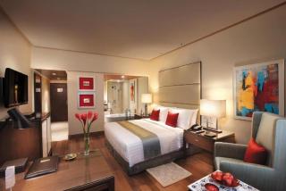 Hotel Infinity Grand Near Delhi Airport - Neu-Delhi - 0