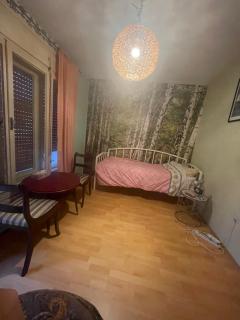 Soba s pogledom na Dravski Park u Varaždinu - Razvala - 8