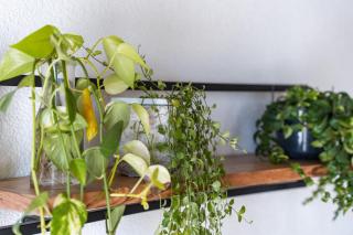 KARL's Home Privatzimmer - Eferding - 2
