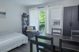 The Riverbend Modern Studio at Harrison Lake - Harrison Hot Springs - 7