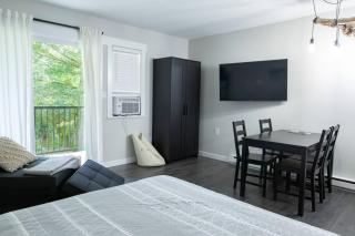 The Riverbend Modern Studio at Harrison Lake - 5