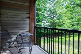 The Riverbend Modern Studio at Harrison Lake - 4