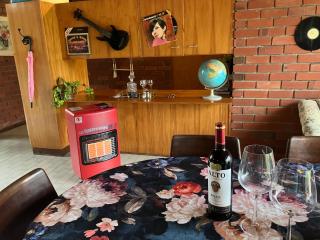 Red Architect Villa cozy gas heater & braai under verandah - Stellenbosch - 6